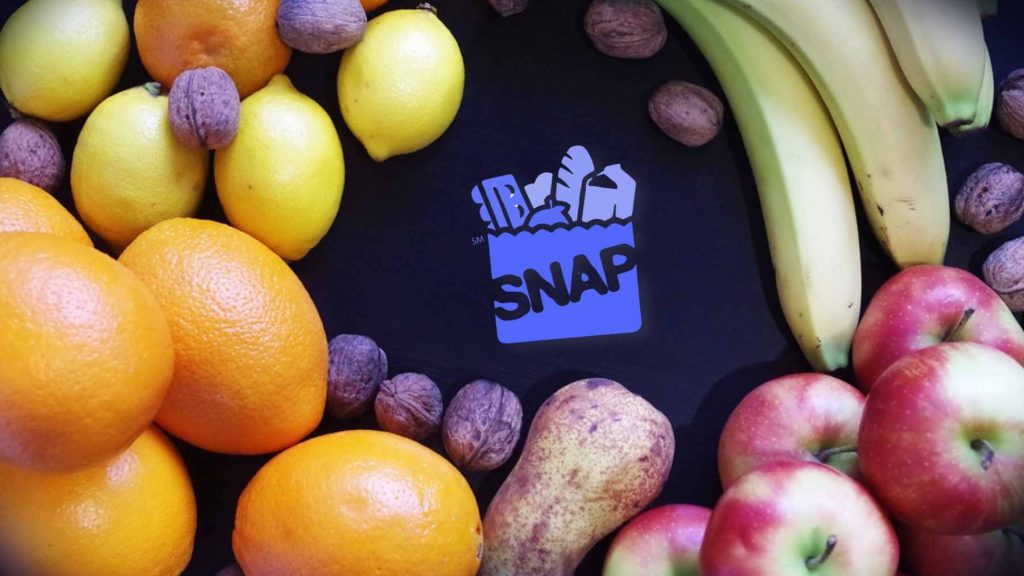 Florida SNAP Benefits Schedule