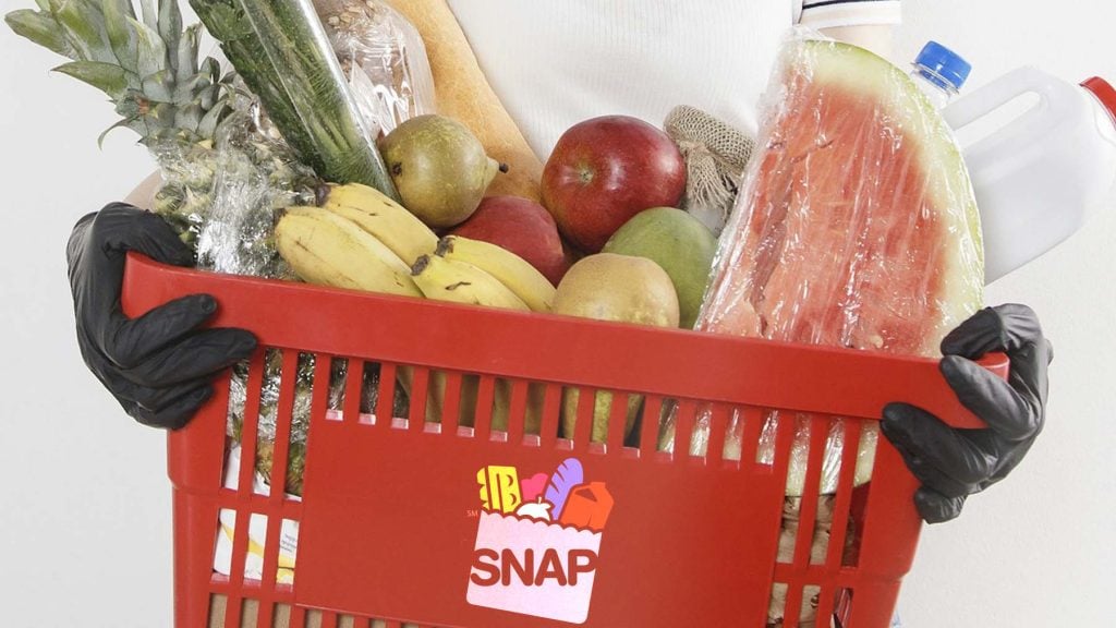 snap benefits states populations