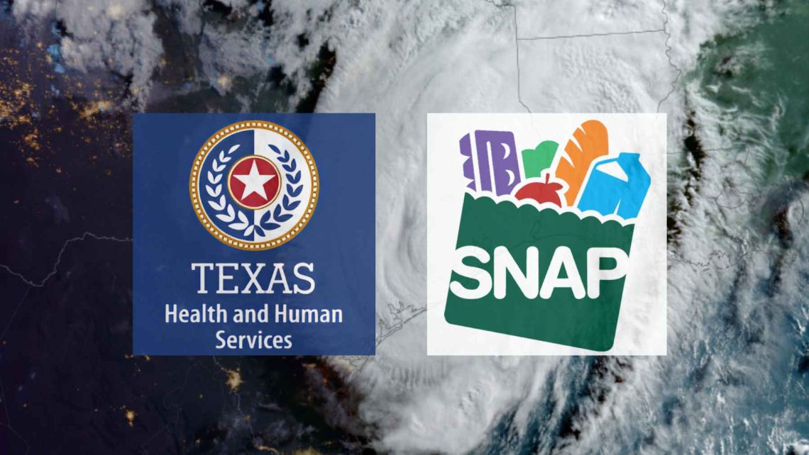 texas snap benefits beryl