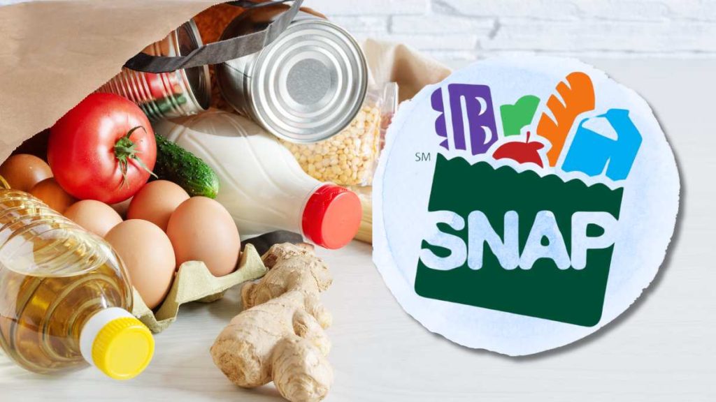 SNAP benefits in Texas - December dates